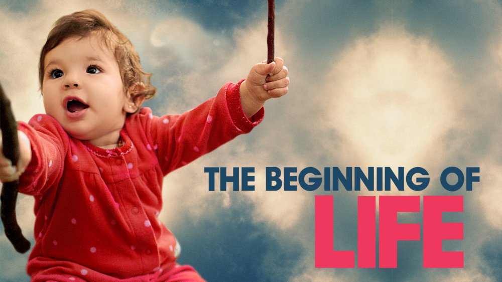 The Beginning Of Life - The Beginning Of Life