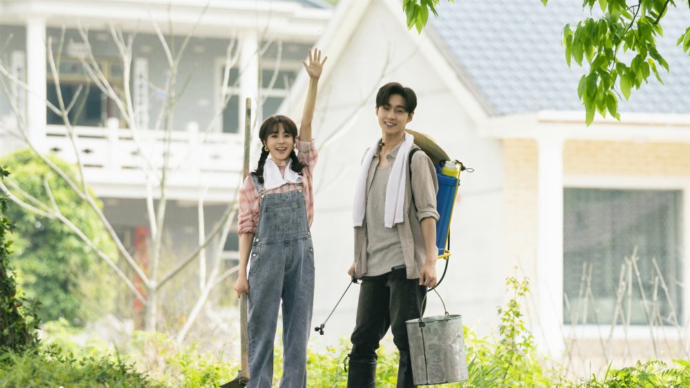 Đừng Phiền Tôi Làm Nông - Don’T Disturb Me Farming