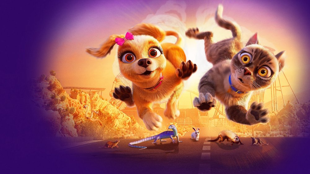 Báo Thủ Đi Tìm Chủ - Gracie & Pedro: Pets To The Rescue