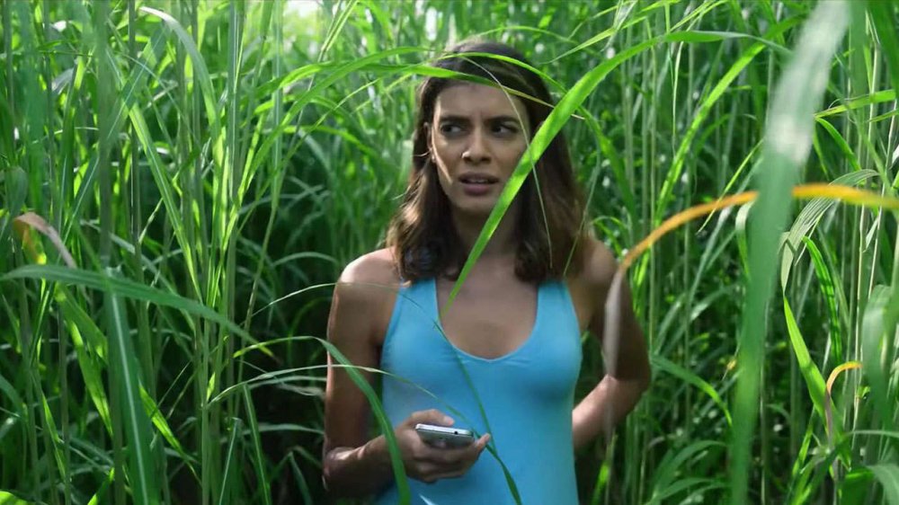 Giữa Bụi Cỏ Cao - In The Tall Grass