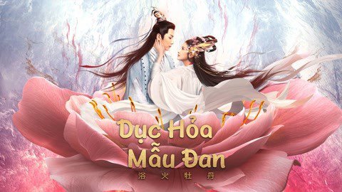 Dục Hỏa Mẫu Đan - Burning Peony