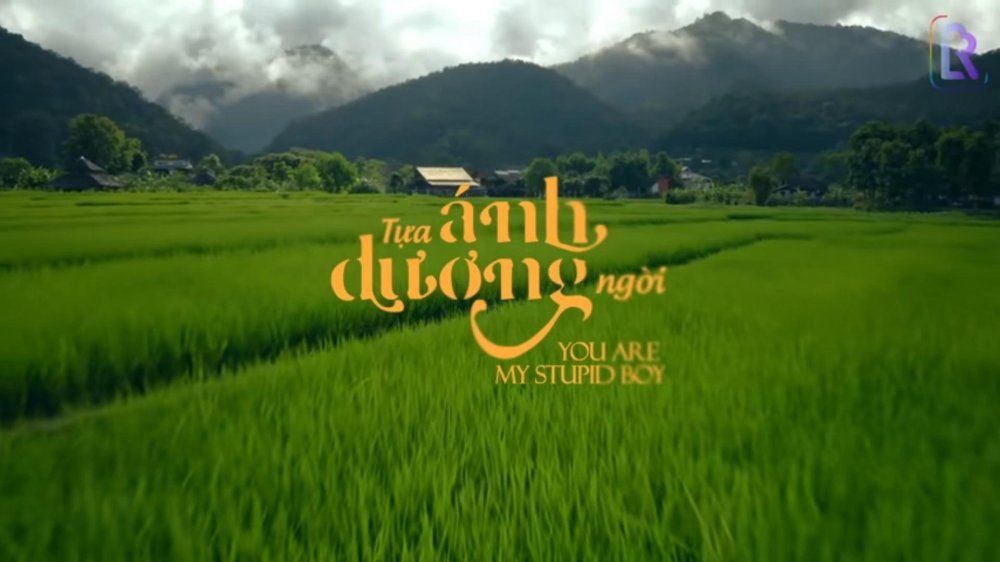 Tựa Ánh Dương Ngời - You Are My Stupid Boy
