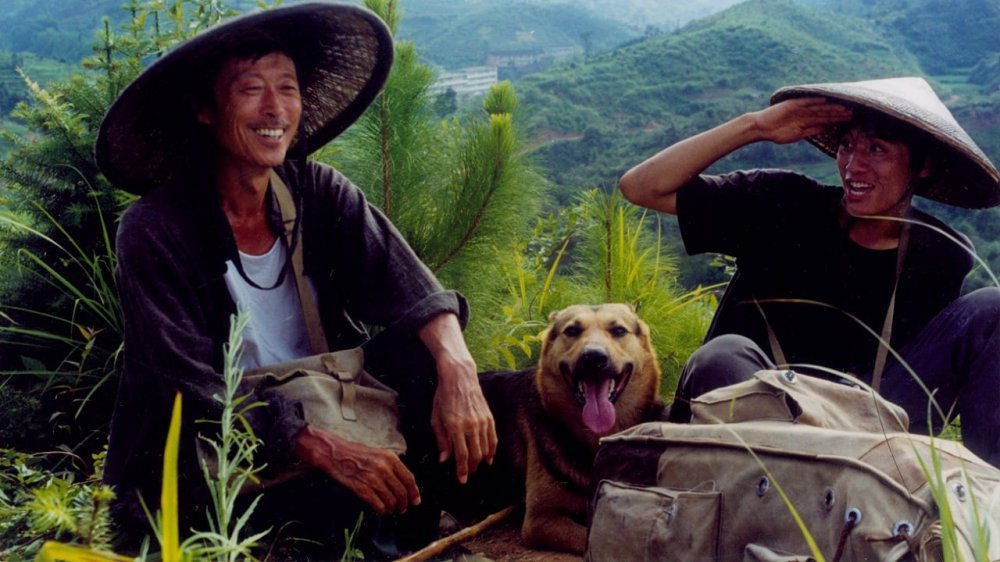 Ngọn Núi Đó, Con Người Đó, Con Chó Đó - Postmen In The Mountains