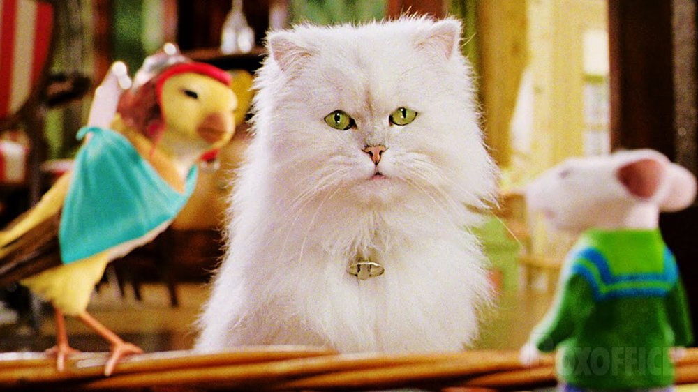 Đại Hiệp Triển Chiêu - Cat And  Mouse