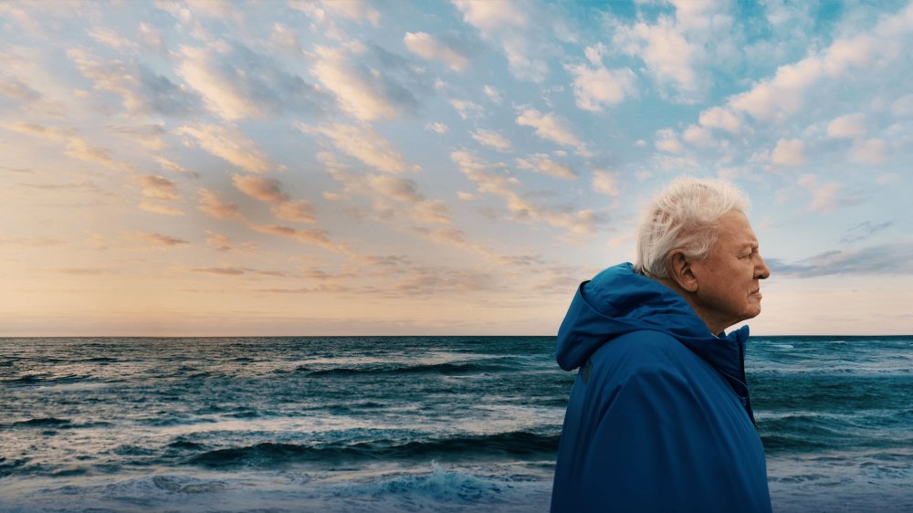 Ocean With David Attenborough - Ocean With David Attenborough