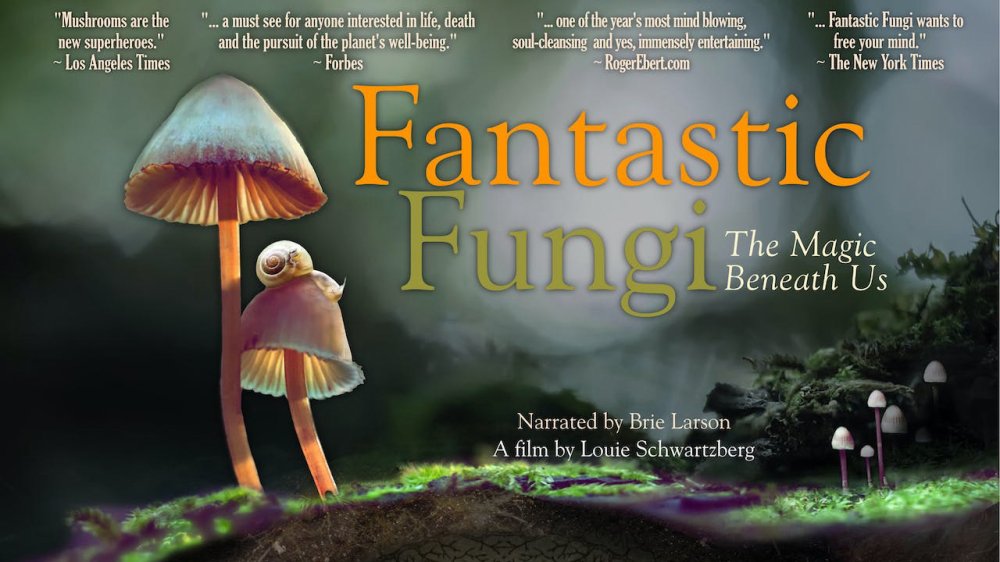 Thế Giới Nấm Diệu Kỳ - Fantastic Fungi