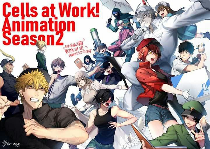 Khi Các Tế Bào Làm Việc (Phần 2) - Cells At Work! S2