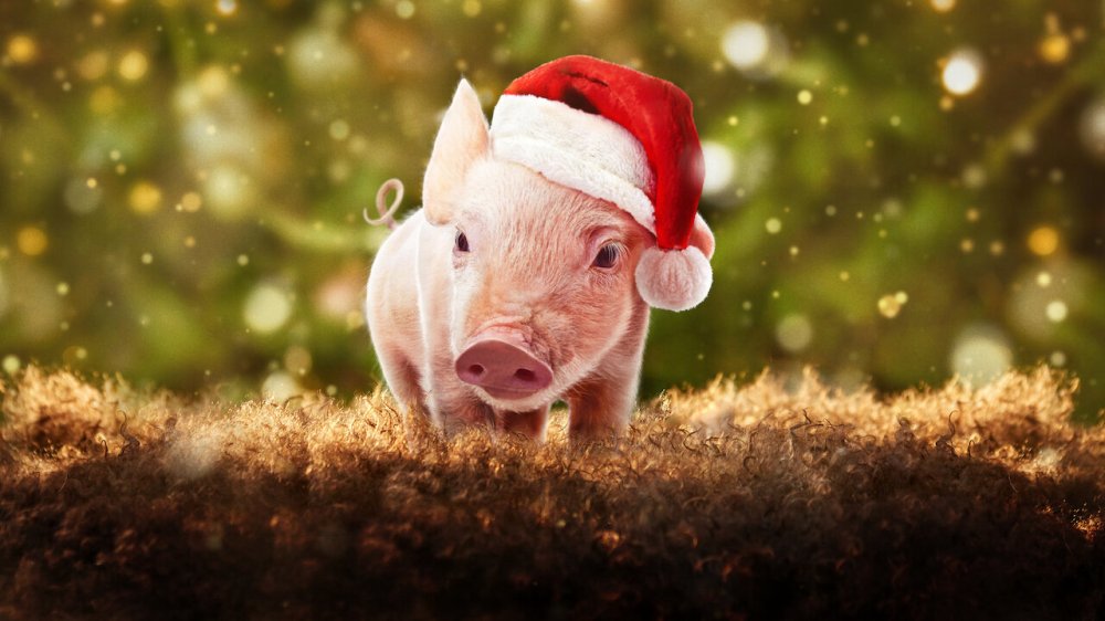Giáng Sinh Ở Trang Trại Tầm Gửi - Christmas On Mistletoe Farm