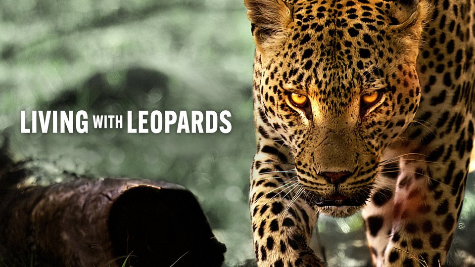 Living With Leopards - Living With Leopards