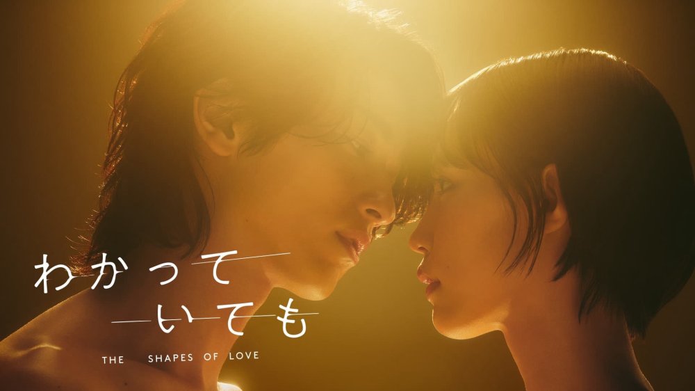Dẫu Biết Dáng Hình Tình Yêu - The Shapes Of Love