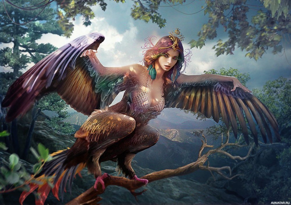 Nhân Ngư Hú - Siren