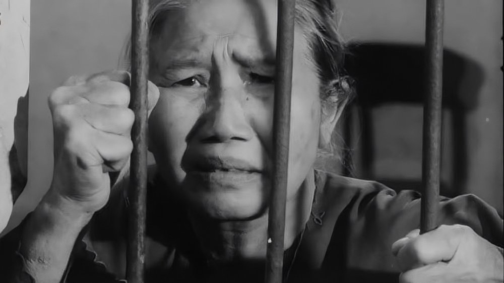 Tướng Về Hưu - The General Retires