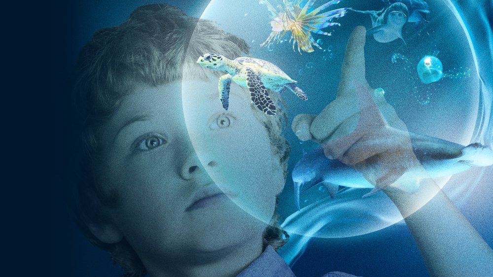 Kỳ Quan Của Đại Dương - Wonders Of The Sea 3D