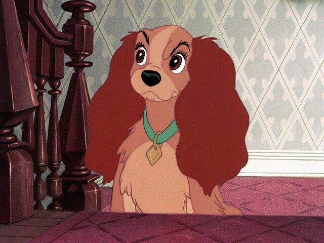 Tiểu Thư Và Gã Lang Thang - Lady And The Tramp