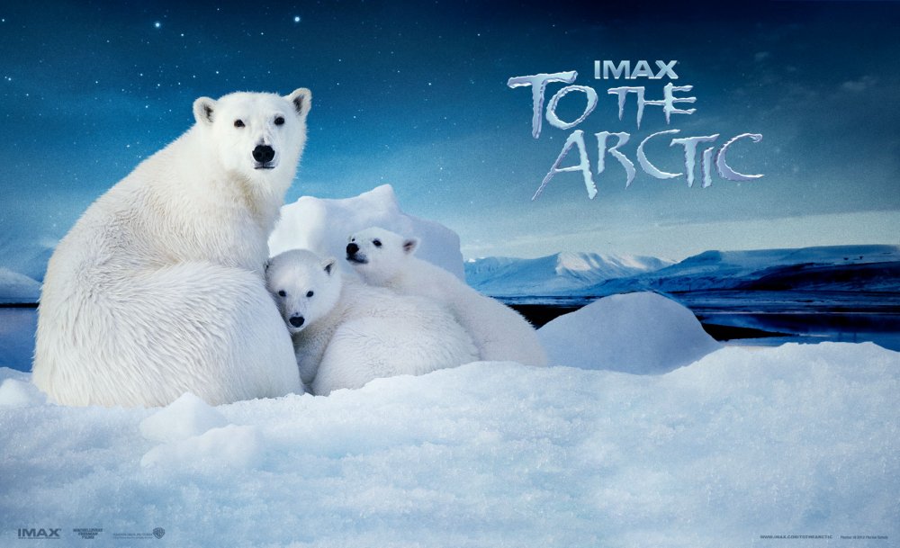 Hành Trình Đến Bắc Cực - To The Arctic
