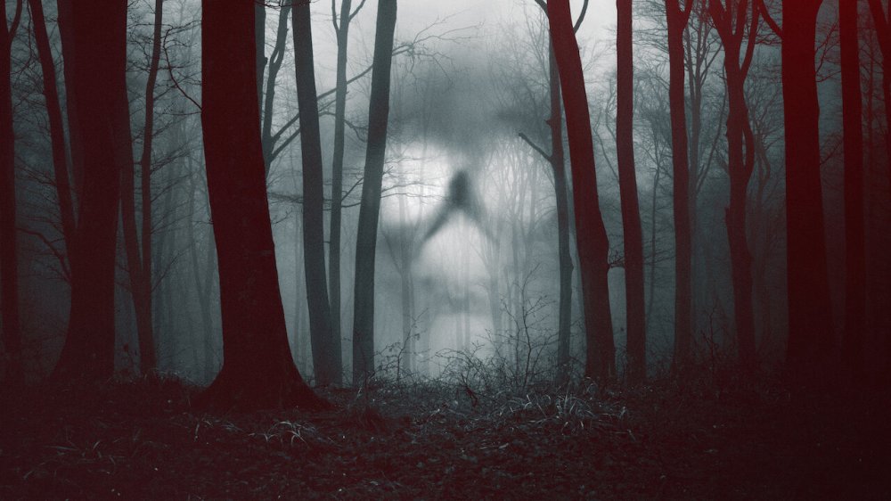 28 Ngày Ma Ám - 28 Days Haunted