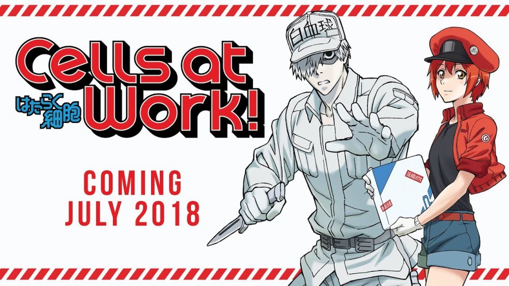 Khi Các Tế Bào Làm Việc Trong Cơ Thể - Cells At Work!