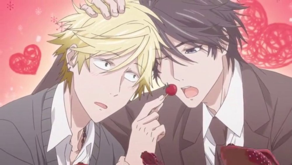 Người Hùng Của Riêng Tôi - Hitorijime My Hero, My Very Own Hero