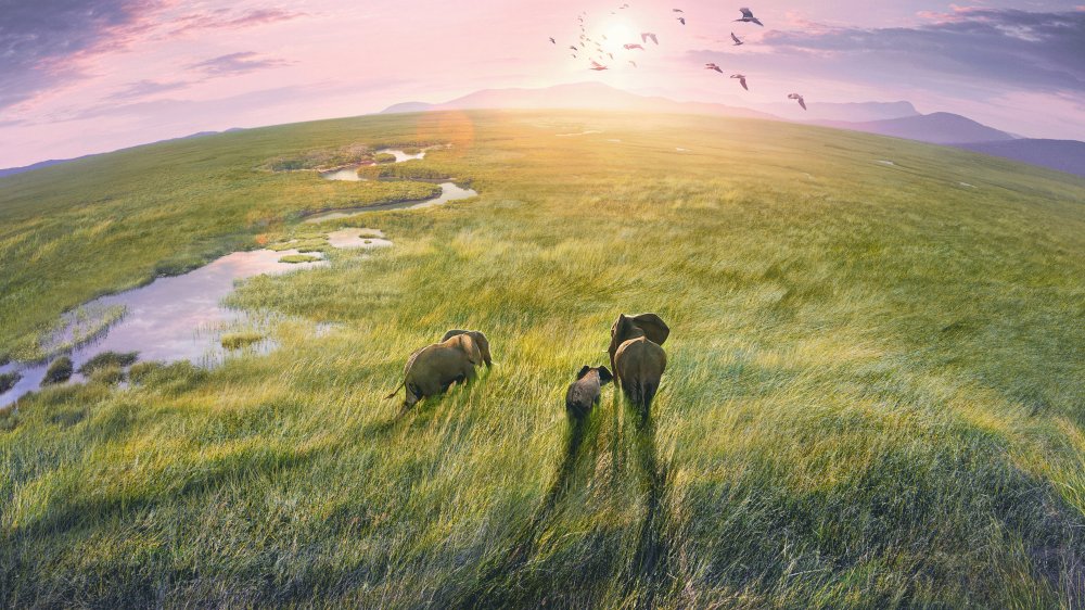 Hành Tinh Trái Đất 3 - Planet Earth Iii