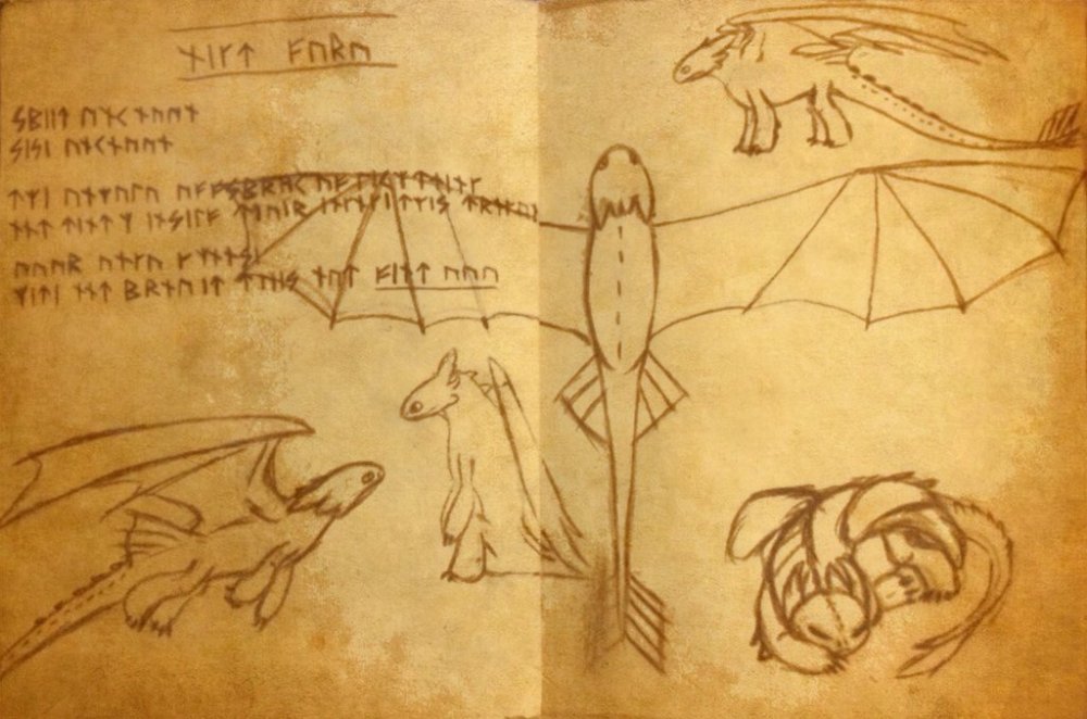 Quyển Sách Của Rồng - Book Of Dragons