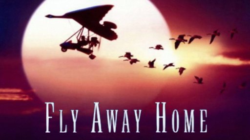 Chắp Cánh Bay Xa - Fly Away Home