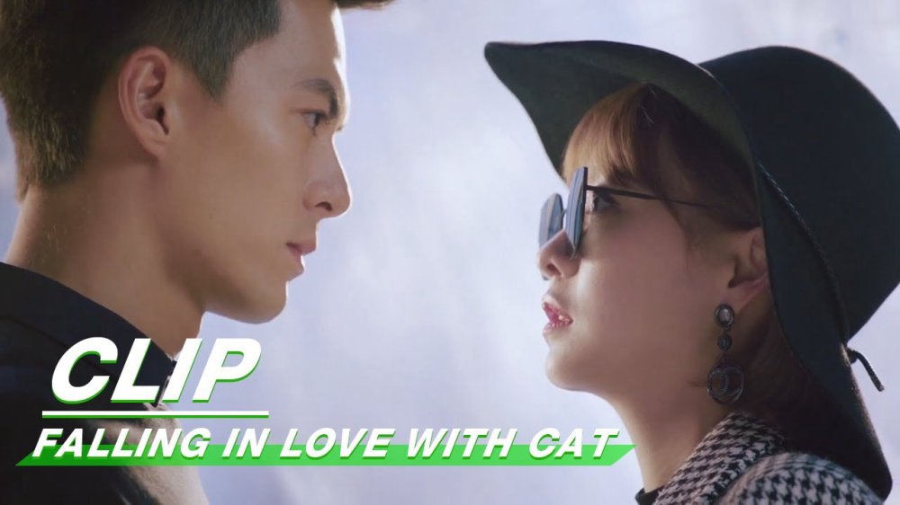 Yêu Phải Nàng Meo Tinh - Falling In Love With Cat