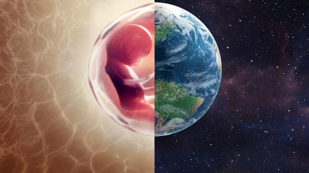 Con Người: Thế Giới Bên Trong Cơ Thể - Human: The World Within