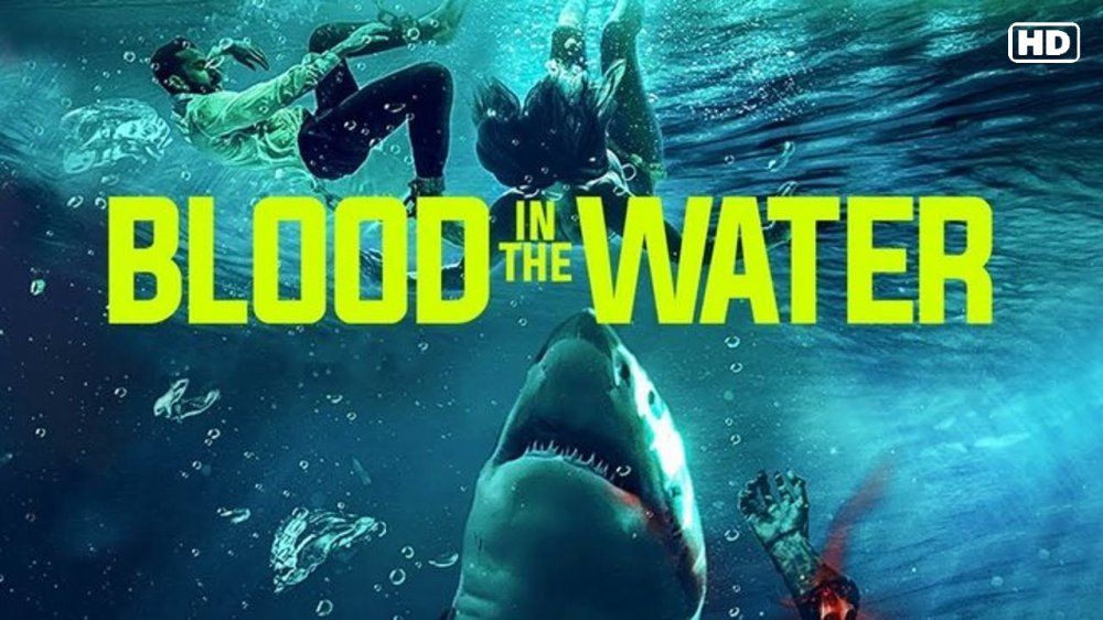 Cá Mập Dưới Nước - Blood In The Water