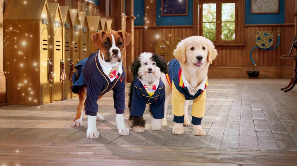 Học Viện Cún Con (Phần 2) - Pup Academy (Season 2)