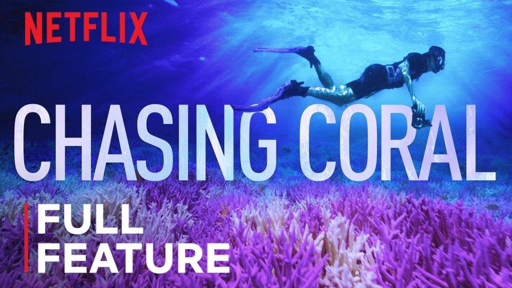 Đi Tìm San Hô - Chasing Coral