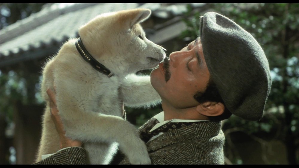 Câu Chuyện Về Chú Chó Hachiko - Hachi-Ko