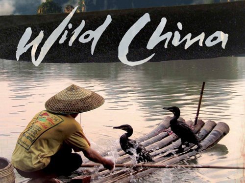 Thiên Nhiên Hoang Dã Trung Quốc - Wild China