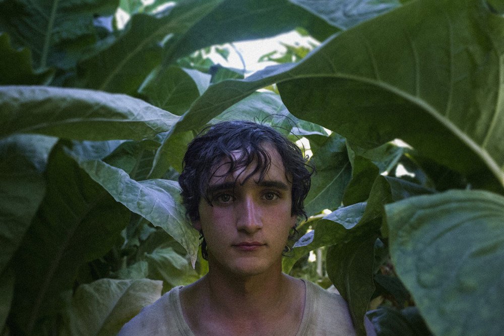 Chuyến Du Hành Thời Gian Của Lazzaro - Happy As Lazzaro