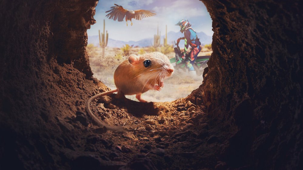 Những Sinh Vật Tí Hon - Tiny Creatures