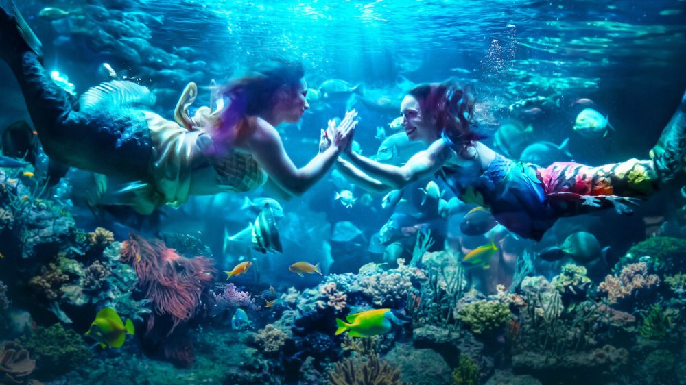 Merpeople: Nghề Nhân Ngư - Merpeople