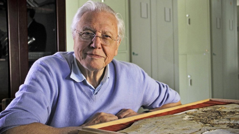 David Attenborough's Rise Of Animals: Triumph Of The Vertebrates - David Attenborough's Rise Of Animals: Triumph Of The Vertebrates