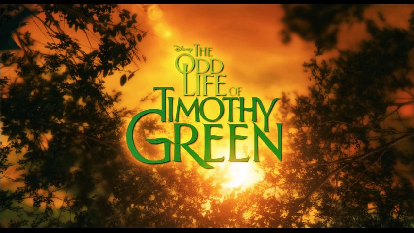 Mảnh Đời Kỳ Lạ Của Timothy Green - The Odd Life Of Timothy Green