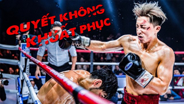 Quyết Không Khuất Phục - Knockout