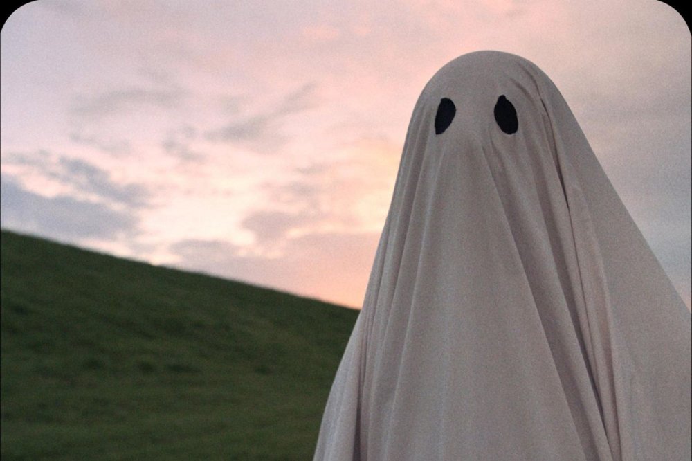Lưu Trai Tân Truyện - Họa Bì - Ghost Story