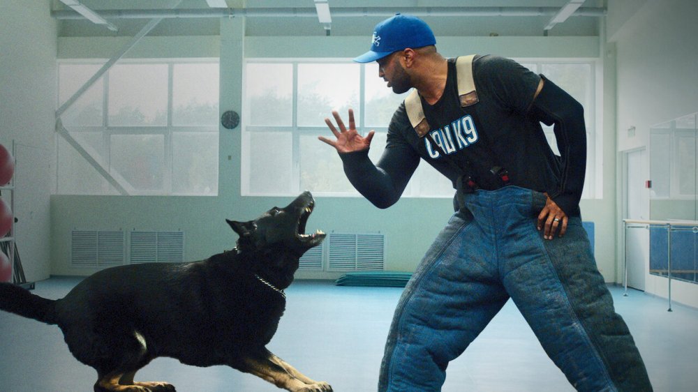 Cali K9: Trường Huấn Khuyển - Canine Intervention