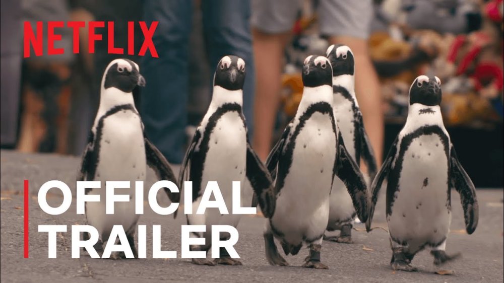 Thị Trấn Cánh Cụt - Penguin Town