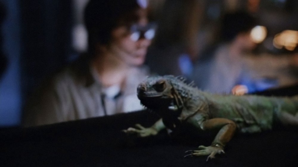 Khủng Long Ăn Thịt 2 - Carnosaur 2