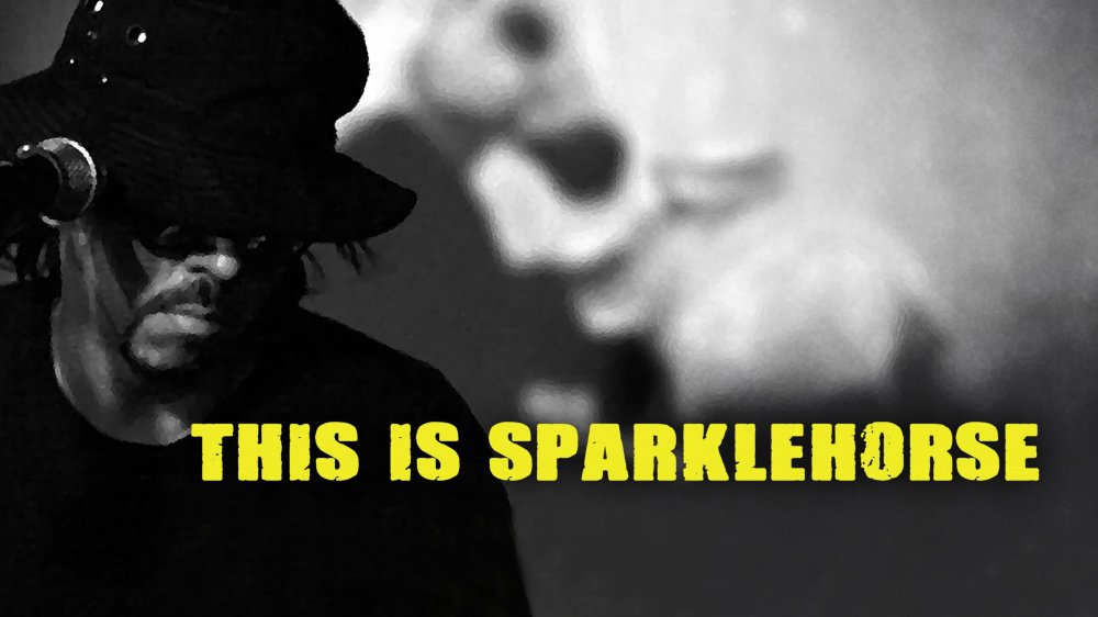 Tia Sáng Tuyệt Đẹp - This Is Sparklehorse