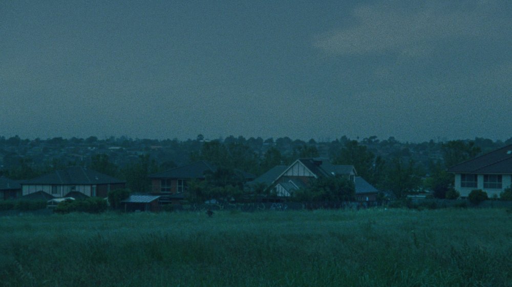Nạn Nhân - The Victim