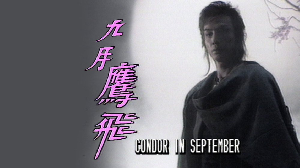 Cửu Nguyệt Ưng Phi - Condor In September