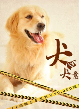 Quyết Tâm Của Chó - A Dog''s Life